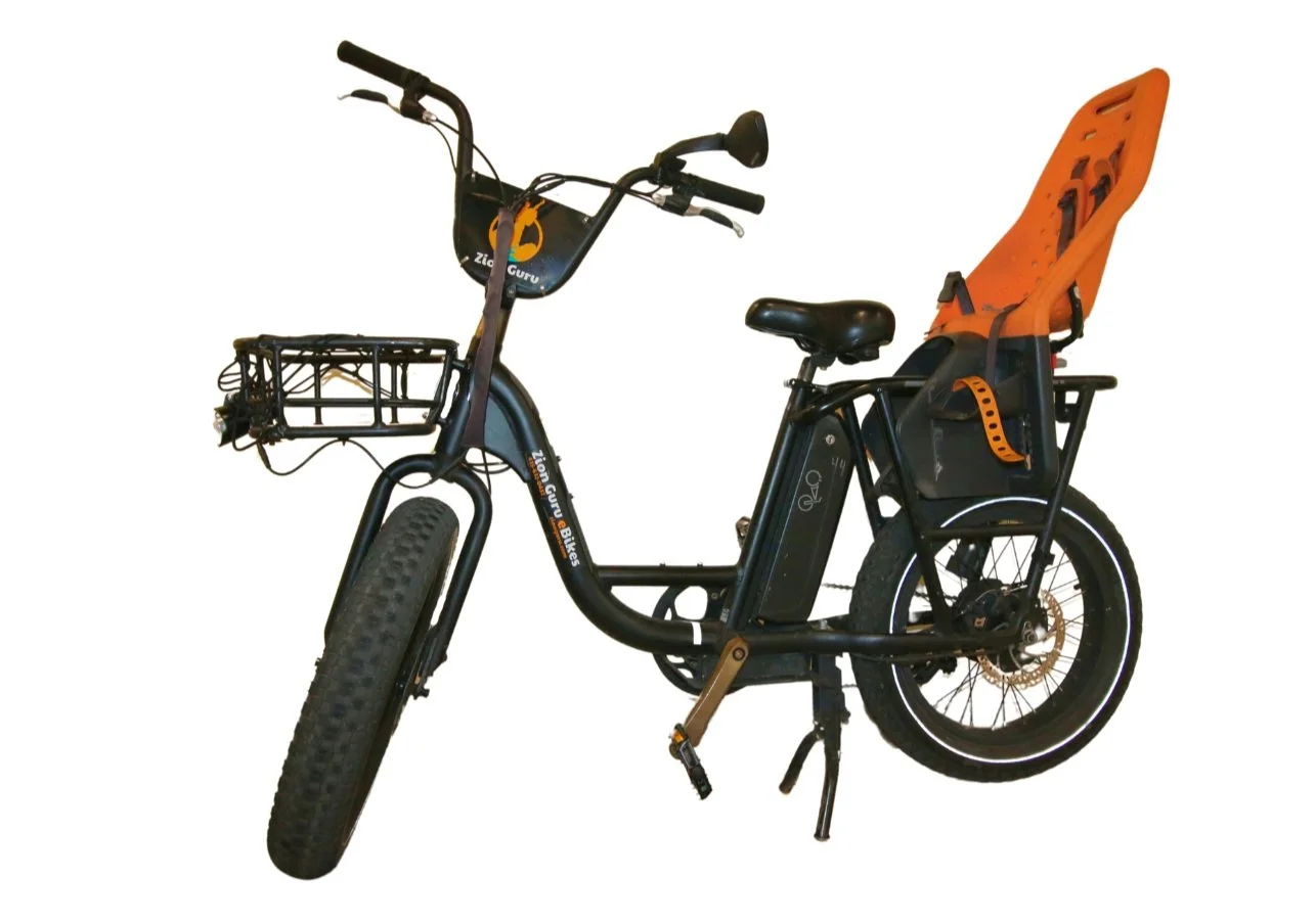 Zion electric bikes sale